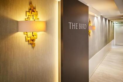 Hotel The Bird - image 12